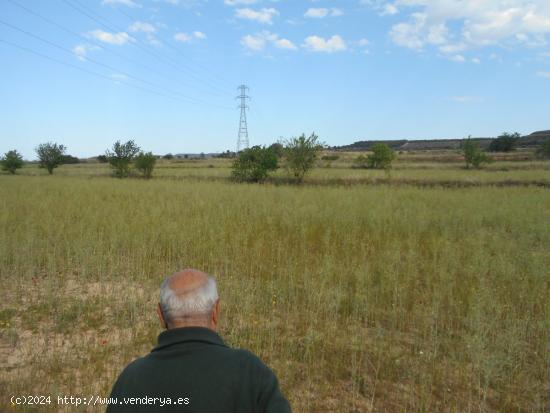 VENTA DE FINCA EN ROMADERA - ZARAGOZA