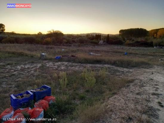 Se vende finca rustica cerca de Tortoles - ZARAGOZA