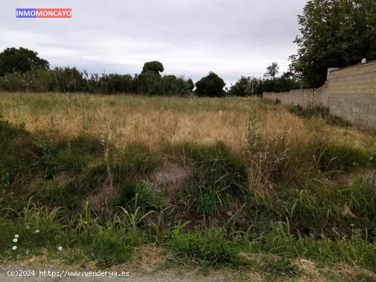  SE VENDE FINCA RÚSTICA EN CARRETERA CUNCHILLOS (TARAZONA) - ZARAGOZA 