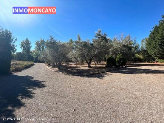 SE VENDE FINCA RÚSTICA EN AGÓN - ZARAGOZA