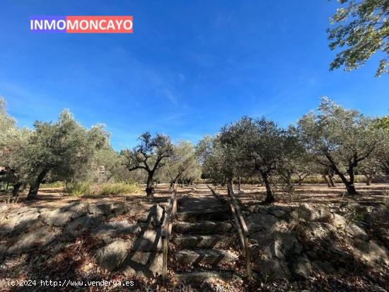 SE VENDE FINCA RÚSTICA EN AGÓN - ZARAGOZA