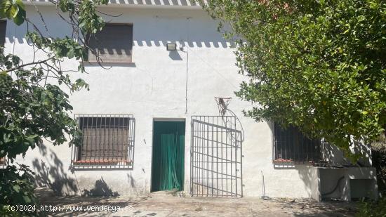 Finca Rústica en Venta en Casas-Ibáñez, Albacete - ALBACETE