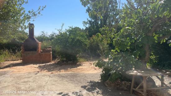 Finca Rústica en Venta en Casas-Ibáñez, Albacete - ALBACETE