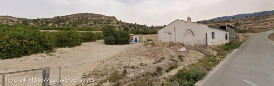 Terreno Regadio y Secano  en venta en Cañada Gil, Ricote, Murcia - MURCIA