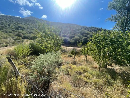 Terreno rural en Güejar Sierra - GRANADA