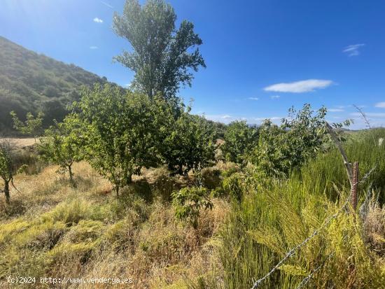 Terreno rural en Güejar Sierra - GRANADA