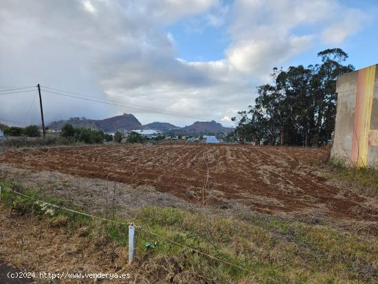 Terreno en venta en vereda Fiscal - SANTA CRUZ DE TENERIFE