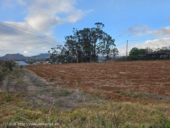 Terreno en venta en vereda Fiscal - SANTA CRUZ DE TENERIFE