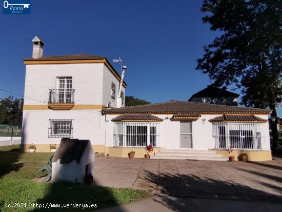  PRECIOSA FINCA EN LA BARCA DE LA FLORIDA - CADIZ 