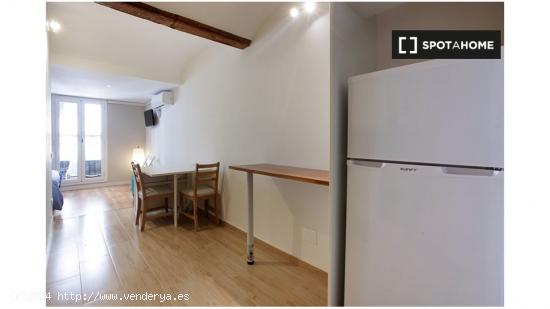 Apartamento de 1 dormitorio en alquiler en El Raval - BARCELONA