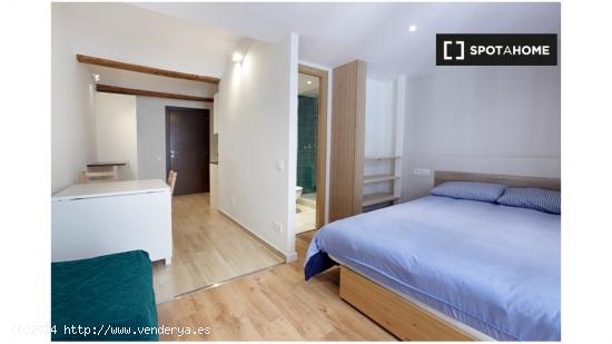 Apartamento de 1 dormitorio en alquiler en El Raval - BARCELONA