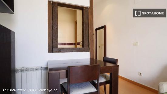 Acogedor apartamento de 1 dormitorio cerca de Plaza Mayor en Centro - MADRID