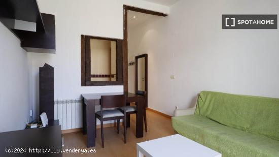 Acogedor apartamento de 1 dormitorio cerca de Plaza Mayor en Centro - MADRID