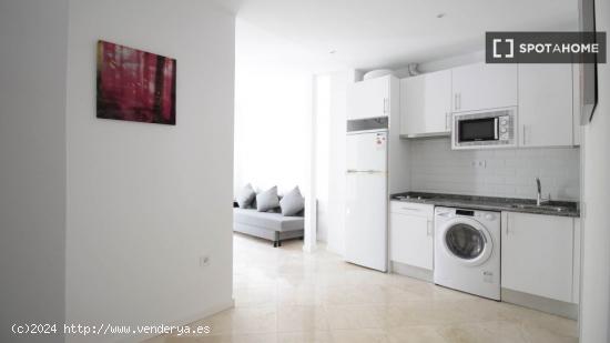 Apartamento de 2 dormitorios en alquiler en Puerta del Angel - MADRID