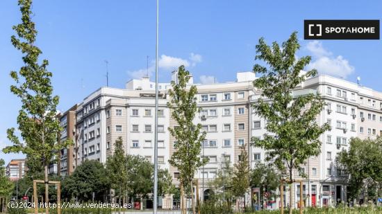 Apartamento de 2 dormitorios en alquiler en El Viso, Madrid. - MADRID