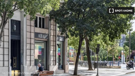 Apartamento de 2 dormitorios en alquiler en El Viso, Madrid. - MADRID