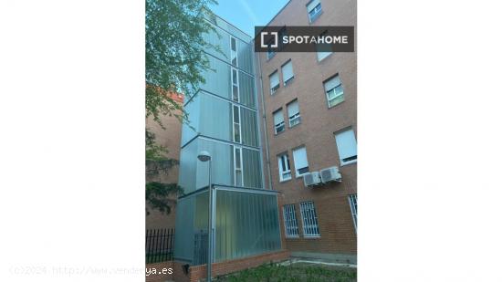 Apartamento de 2 dormitorios en alquiler en Madrid - MADRID