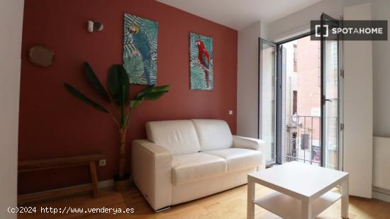 Apartamento Exterior de 35m2 en la zona de Palacio - PAS101C - MADRID