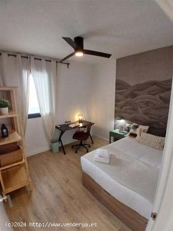  Vive la experiencia de co-living en el corazón de Málaga - MALAGA 