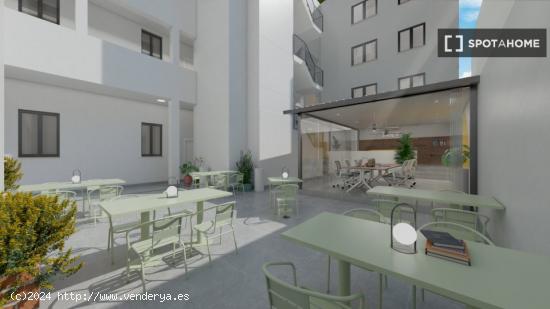 Vive la experiencia de co-living en el corazón de Málaga - MALAGA