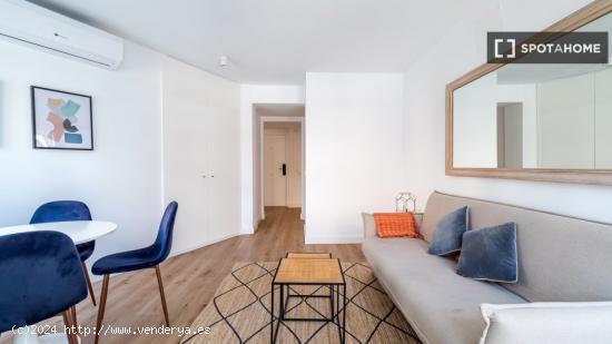 Apartamento entero de 1 habitaciones en Madrid - MADRID