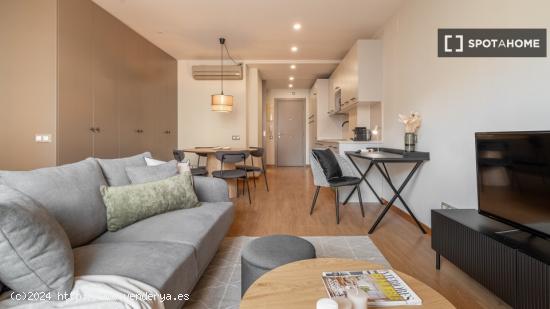 Apartamento entero de 1 dormitorio en Barcelona - BARCELONA