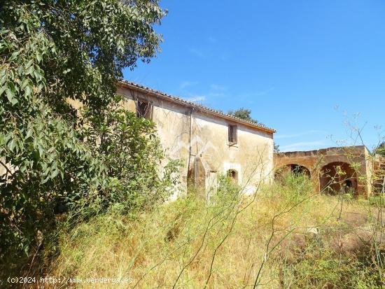 Finca rústica de 26.000 m2 en Campos - BALEARES