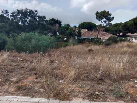 Venta de suelo con licencia y proyecto en Marbella - MALAGA