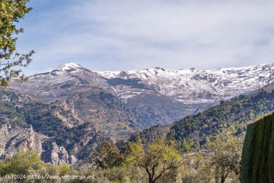 CASA DE PUEBLO EN NIGUELAS - GRANADA