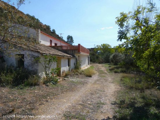 Finca en venta en Nonaspe (Zaragoza)