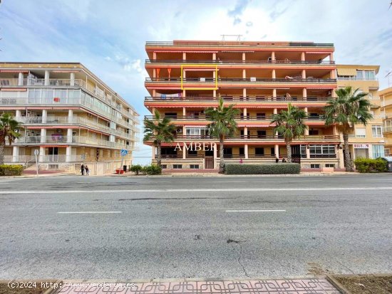 Apartamento en venta en Torrevieja (Alicante)