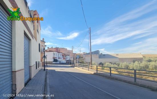 Local comercial 300m. - GRANADA