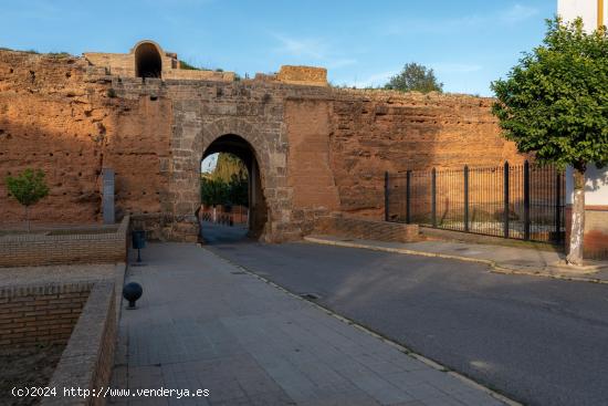 CASA EN VENTA EN NIEBLA CON INCREIBLE PATRIMONIO HISTORICO - HUELVA