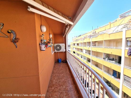  APARTAMENTO DE 3 DORMITORIOS 2 BAÑOS EN TORREVIEJA - ALICANTE 