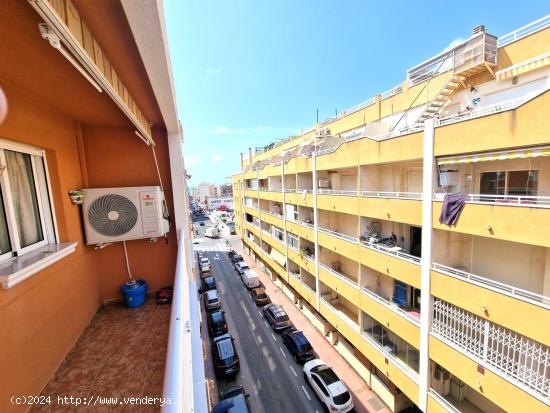 APARTAMENTO DE 3 DORMITORIOS 2 BAÑOS EN TORREVIEJA - ALICANTE