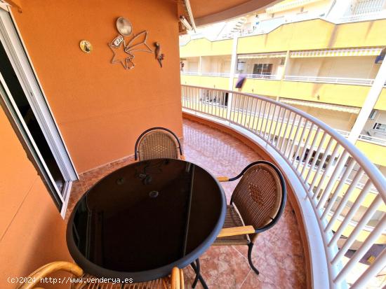 APARTAMENTO DE 3 DORMITORIOS 2 BAÑOS EN TORREVIEJA - ALICANTE