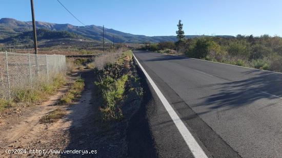 SE VENDE VIÑEDO EN VILAFLOR - SANTA CRUZ DE TENERIFE