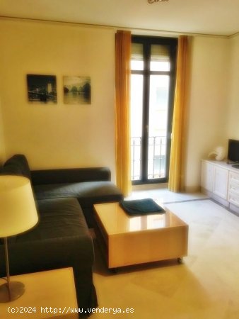 Apartamento en alquiler en Granada (Granada)