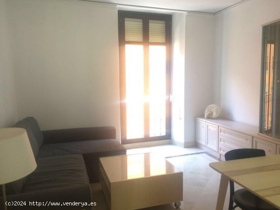 Apartamento en alquiler en Granada (Granada)