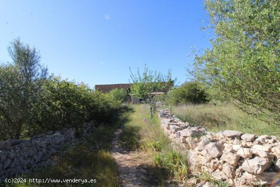 Se Vende en Algaida - BALEARES