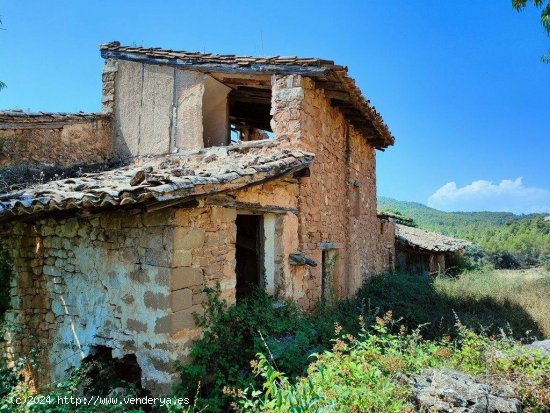  Finca en venta en Fuentespalda (Teruel) 