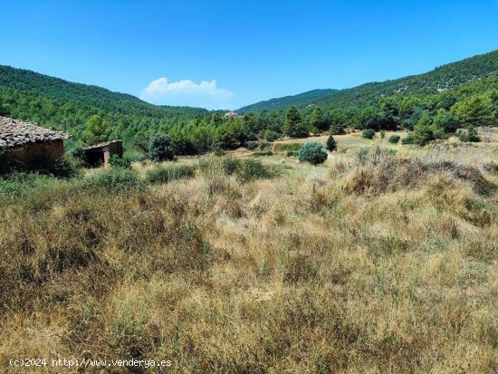 Finca en venta en Fuentespalda (Teruel)