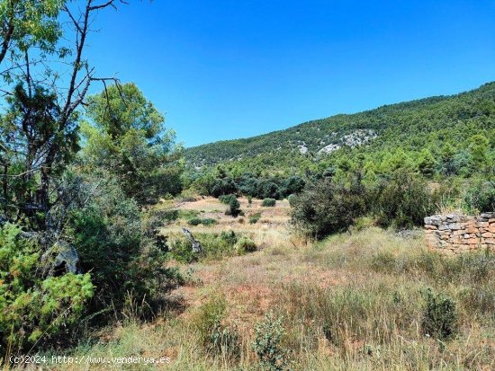 Finca en venta en Fuentespalda (Teruel)