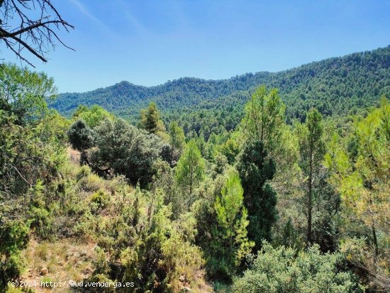 Finca en venta en Fuentespalda (Teruel)