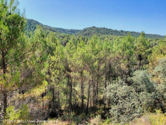 Finca en venta en Fuentespalda (Teruel)