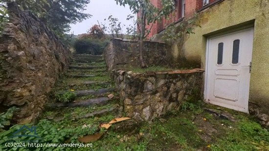 Casa en venta en Valle de Valdelucio (Burgos)