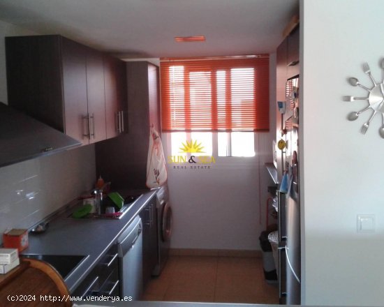 Apartamento en alquiler en Torre-Pacheco (Murcia)