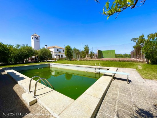 Finca en venta en Carmona (Sevilla)