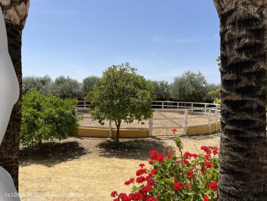 Finca en venta en Carmona (Sevilla)