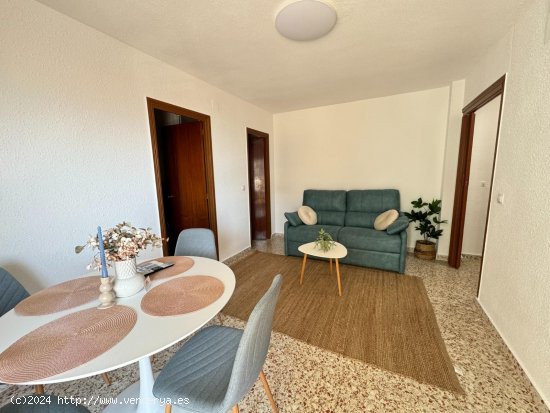 Apartamento en alquiler en Guardamar del Segura (Alicante)